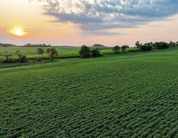 79.5 Acres of Land for Auction in Stockton, Illinois