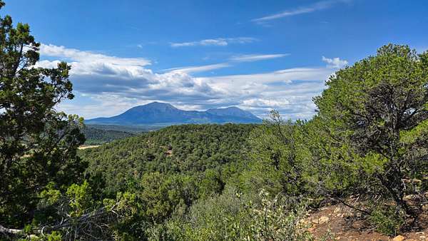 36 Acres of Land for Sale in Walsenburg, Colorado