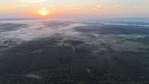 180 Acres of Land for Sale in Mount Hope, Alabama