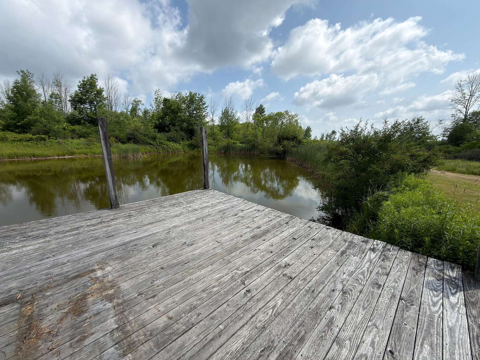 75 Acres of Recreational Land with Home for Sale in Cohocton, New York