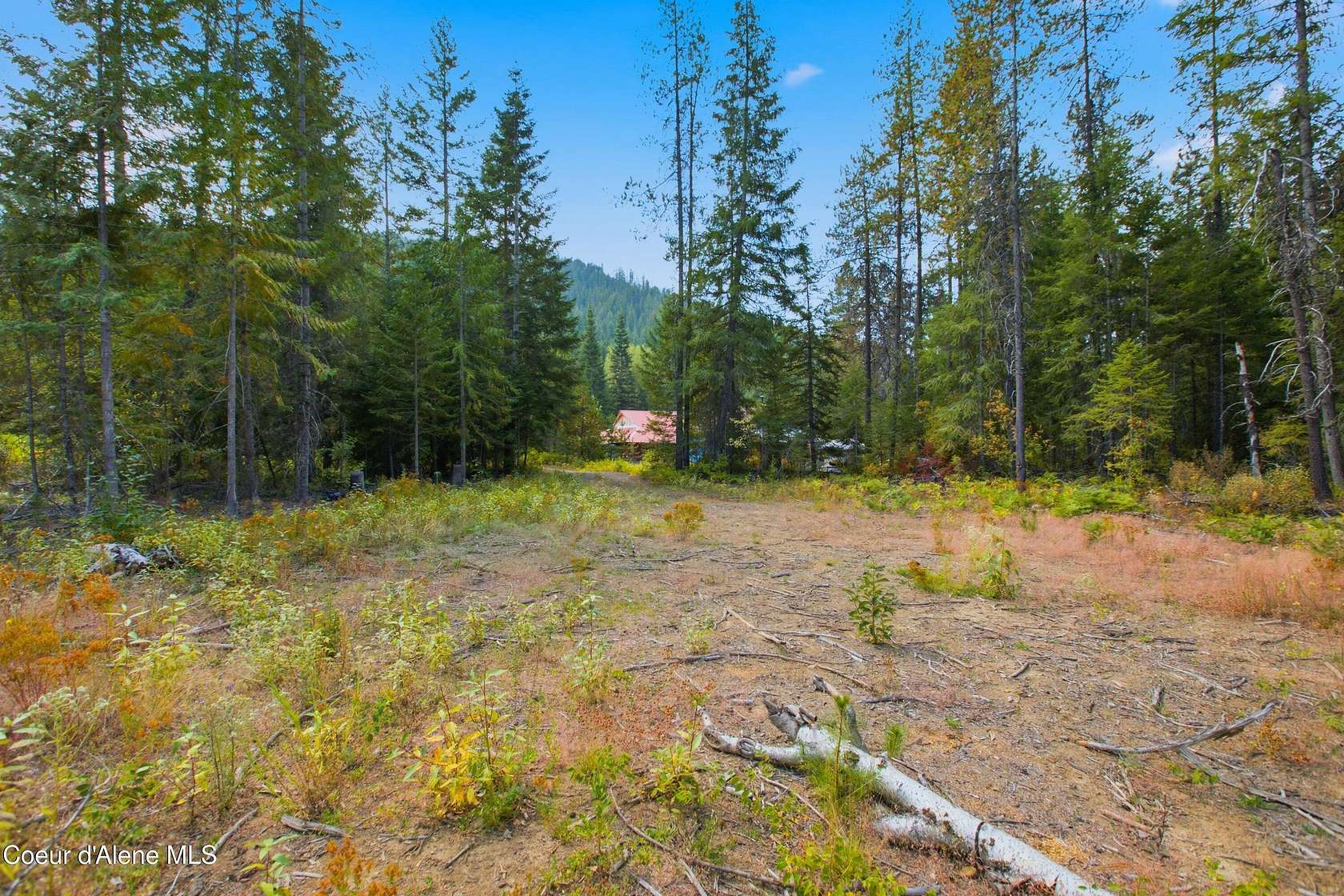 20 Acres of Recreational & Residential Land for Sale in Cocolalla, Idaho