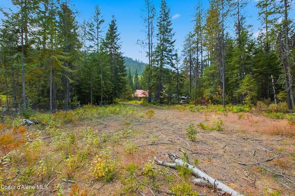 20 Acres of Recreational & Residential Land for Sale in Cocolalla, Idaho