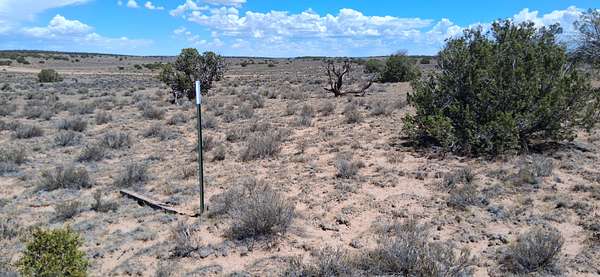 4.66 Acres of Residential Land for Sale in Sanders, Arizona