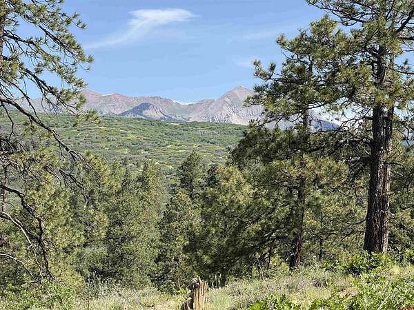 35.2 Acres of Land for Sale in Durango, Colorado