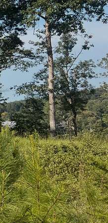 Residential Land for Sale in Double Springs, Alabama