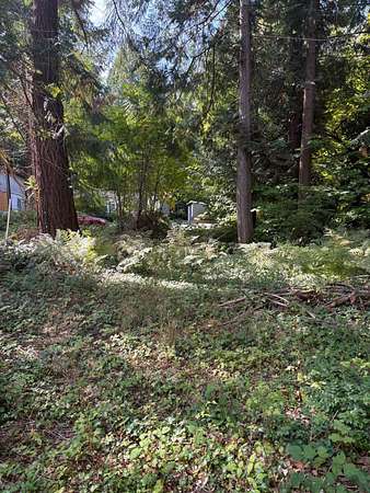 0.2 Acres of Residential Land for Sale in Point Roberts, Washington