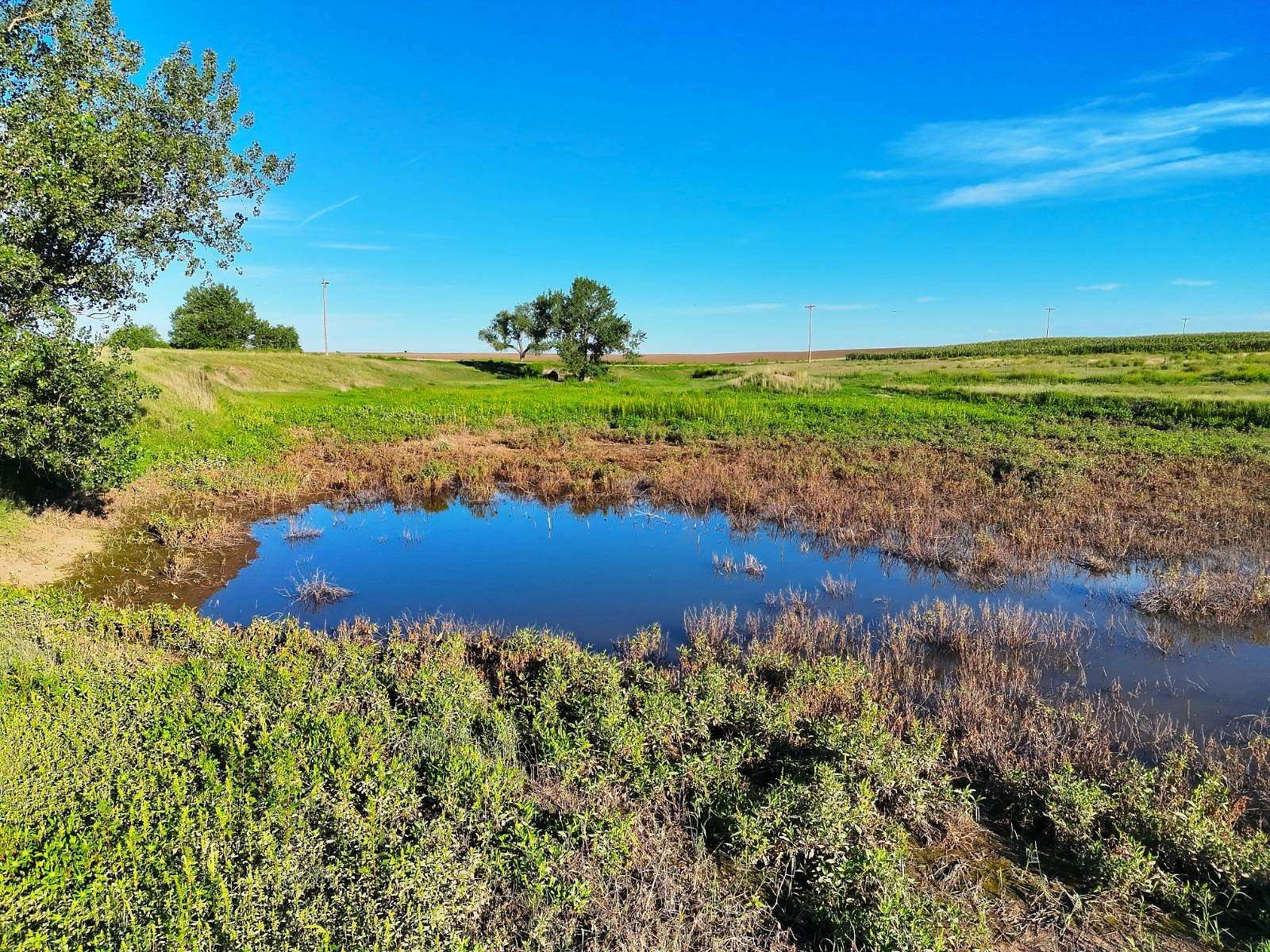 82 Acres of Recreational Land for Sale in Ovid, Colorado