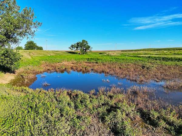 82 Acres of Recreational Land for Sale in Ovid, Colorado