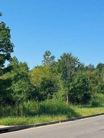 29 Acres of Land for Sale in Blue Springs, Missouri
