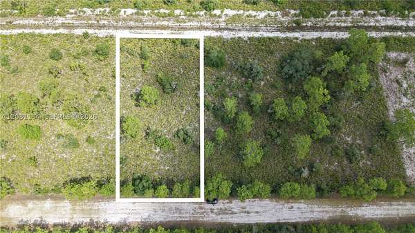 0.5 Acres of Residential Land for Sale in Babson Park, Florida