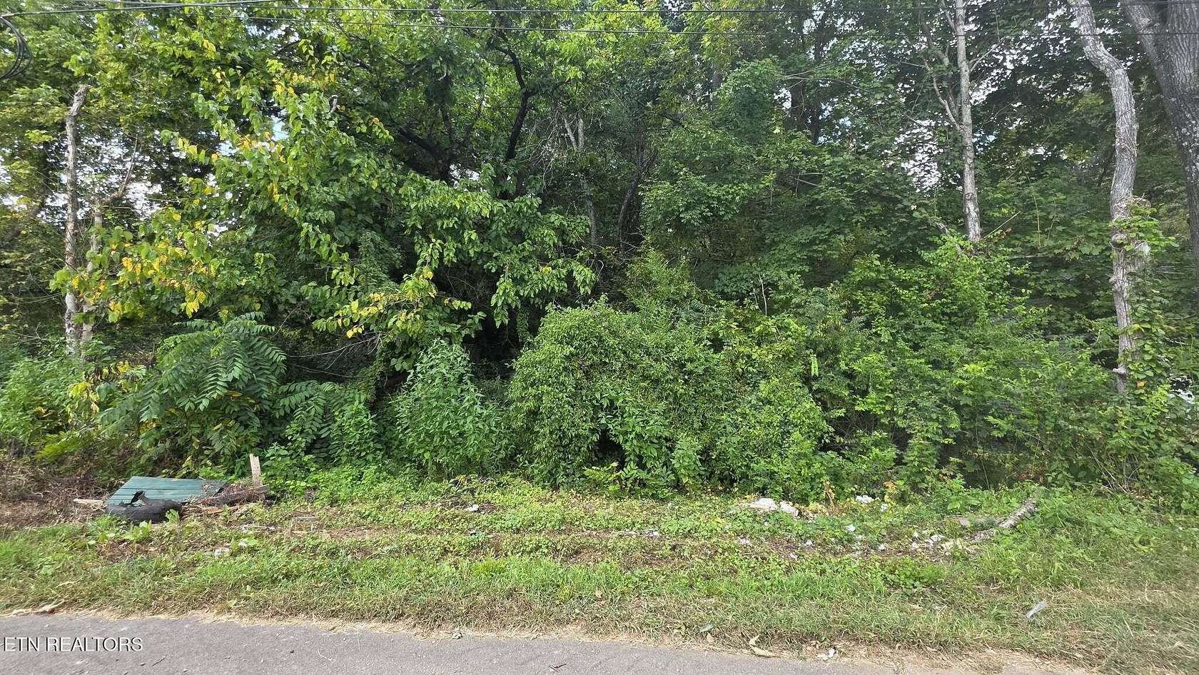 0.17 Acres of Residential Land for Sale in Knoxville, Tennessee