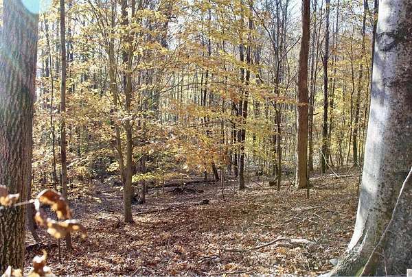 3.2 Acres of Land for Sale in Eddyville, Kentucky