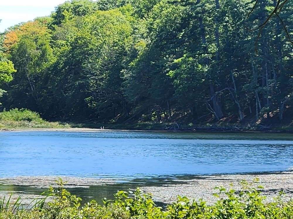 1.25 Acres of Residential Land for Sale in Tomahawk, Wisconsin