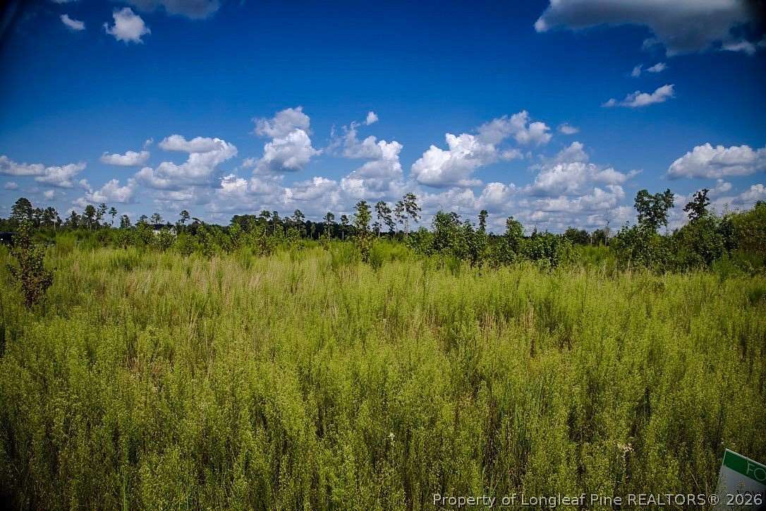 1.39 Acres of Residential Land for Sale in Fairmont, North Carolina