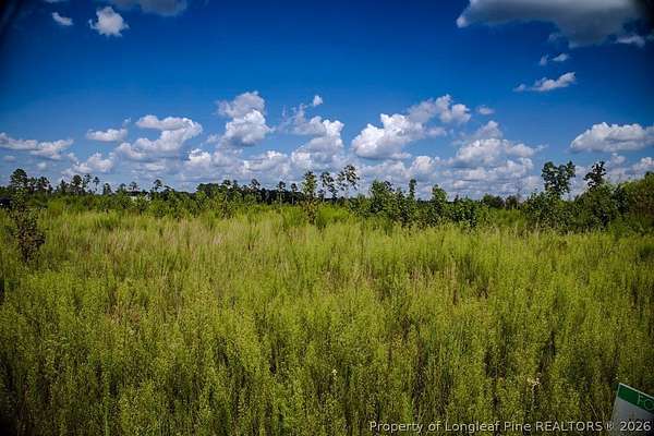 1.39 Acres of Residential Land for Sale in Fairmont, North Carolina