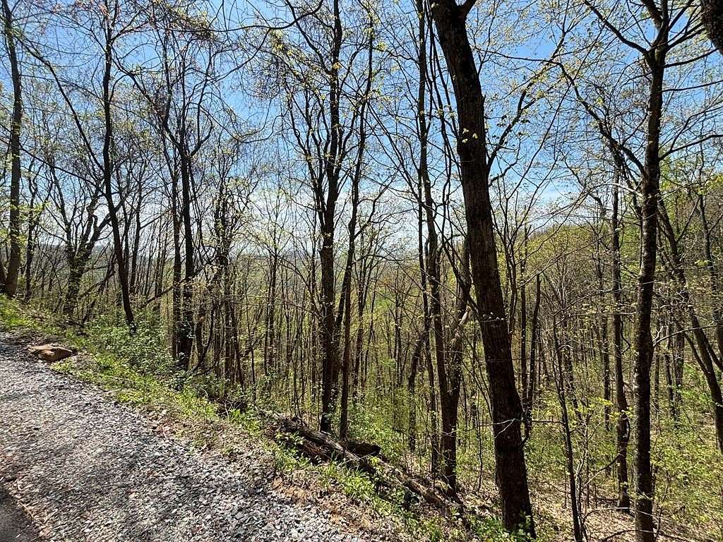 3 Acres of Residential Land for Sale in Murphy, North Carolina