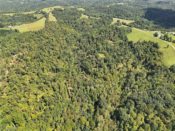 95 Acres of Recreational Land for Sale in Caldwell, Ohio