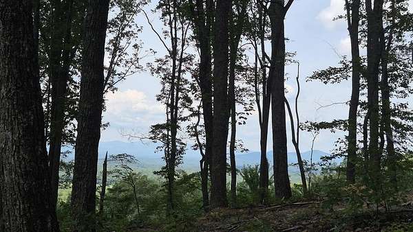 1.5 Acres of Residential Land for Sale in Talking Rock, Georgia