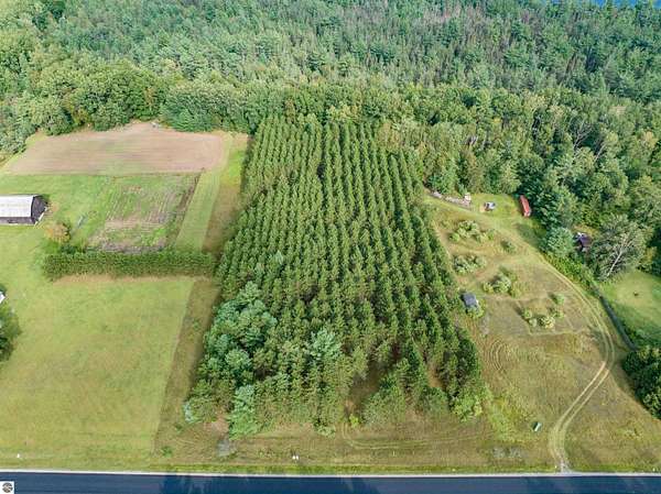 10 Acres of Recreational & Residential Land for Sale in Lincoln, Michigan