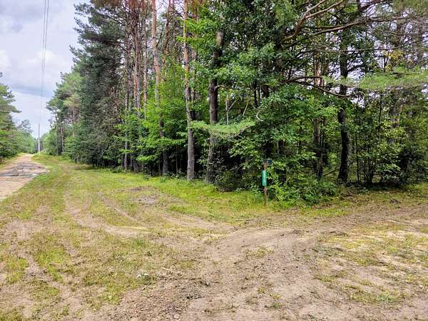10 Acres of Recreational Land for Sale in Grayling, Michigan