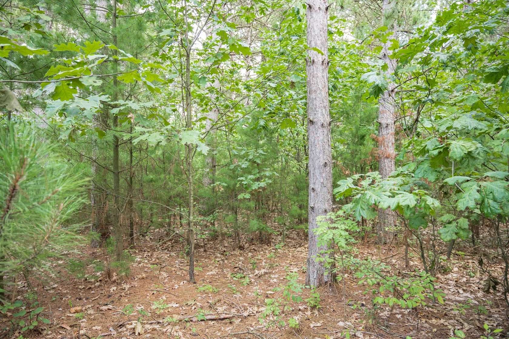 1.62 Acres of Residential Land for Sale in Necedah, Wisconsin