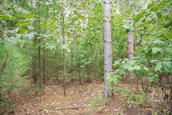 1.62 Acres of Residential Land for Sale in Necedah, Wisconsin