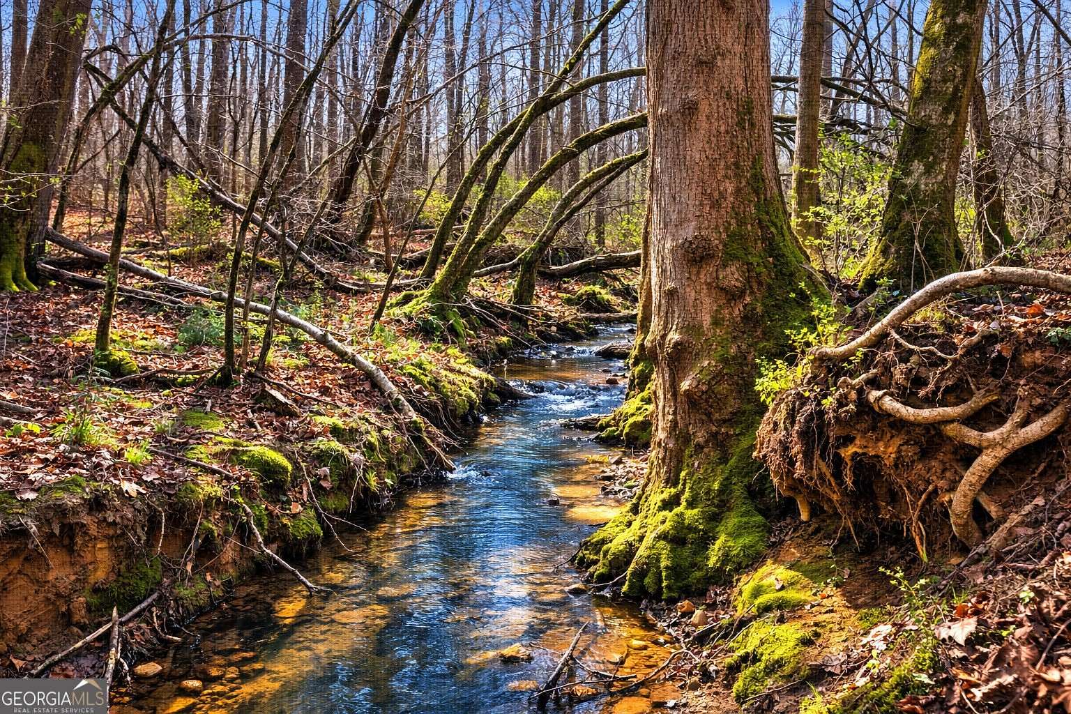 45.9 Acres of Recreational & Residential Land for Sale in Clarkesville, Georgia