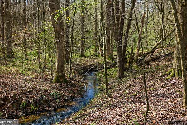 45.9 Acres of Recreational & Residential Land for Sale in Clarkesville, Georgia