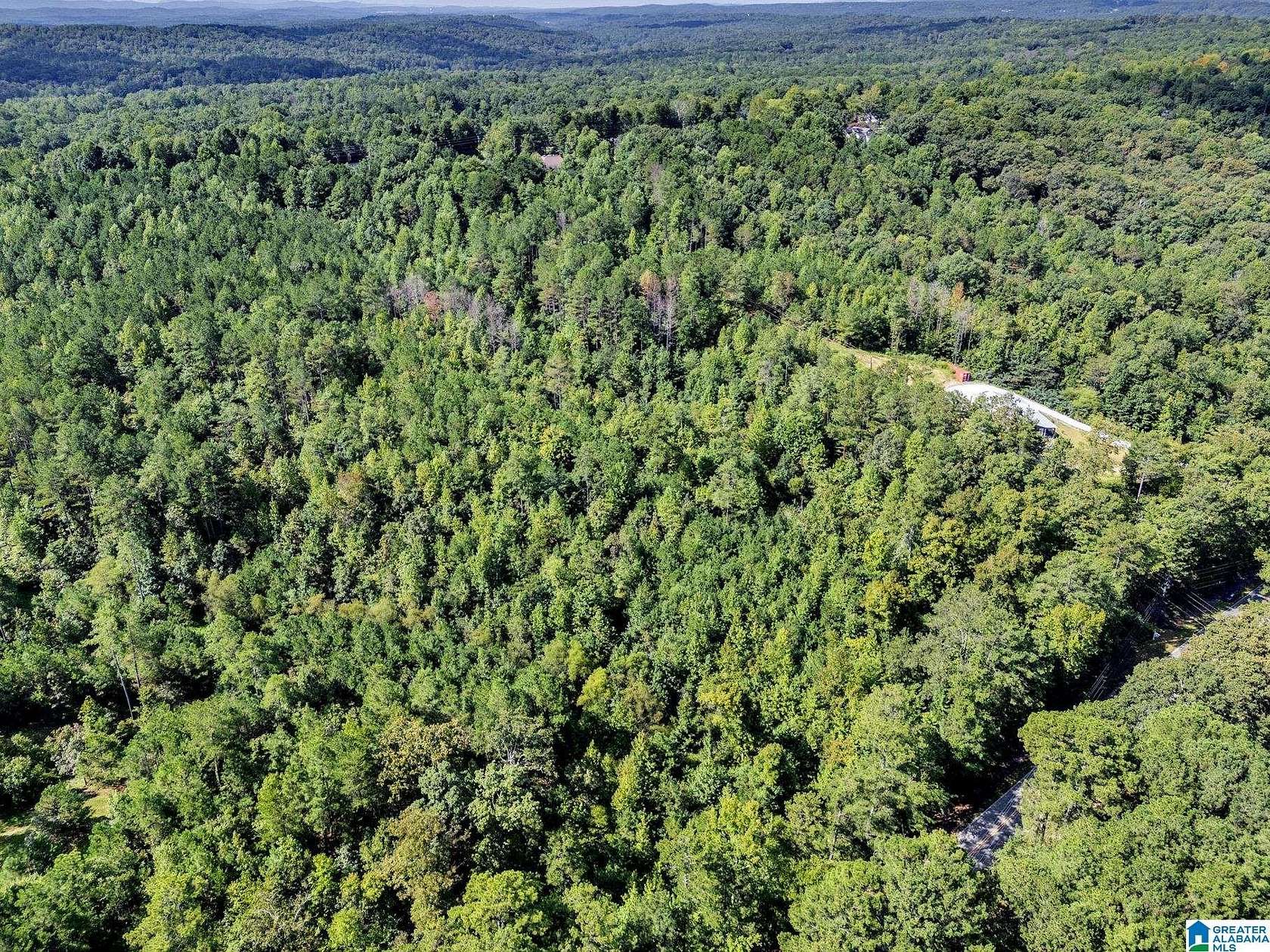 10.3 Acres of Land for Sale in Odenville, Alabama