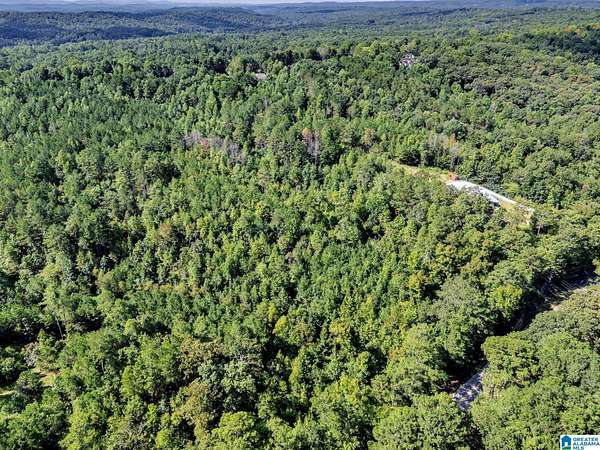 10.3 Acres of Land for Sale in Odenville, Alabama