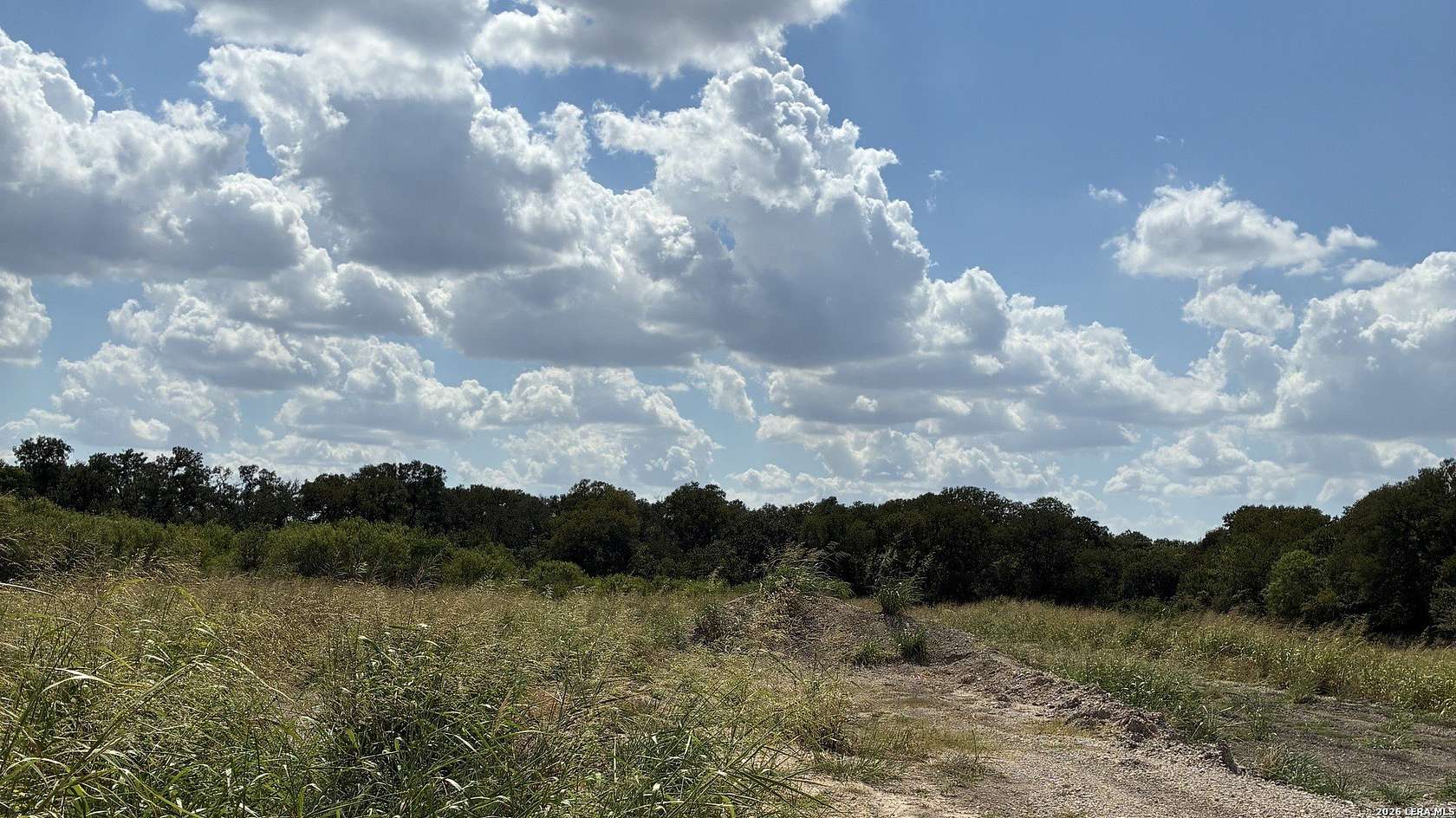 16.8 Acres of Land for Sale in Seguin, Texas