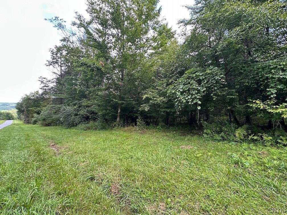 5 Acres of Land for Sale in Belmont, New York