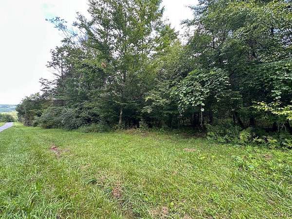 5 Acres of Land for Sale in Belmont, New York