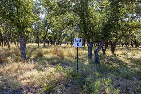 10 Acres of Recreational & Residential Land for Sale in Harper, Texas