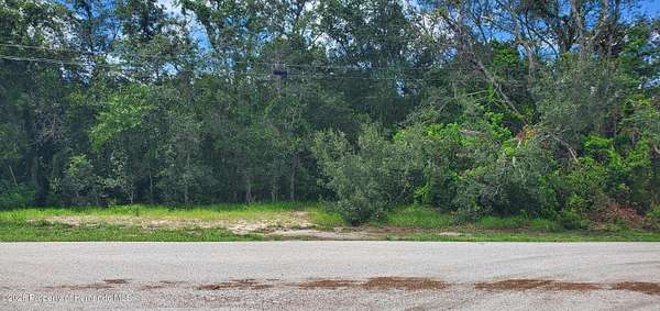 0.3 Acres of Residential Land for Sale in Spring Hill, Florida