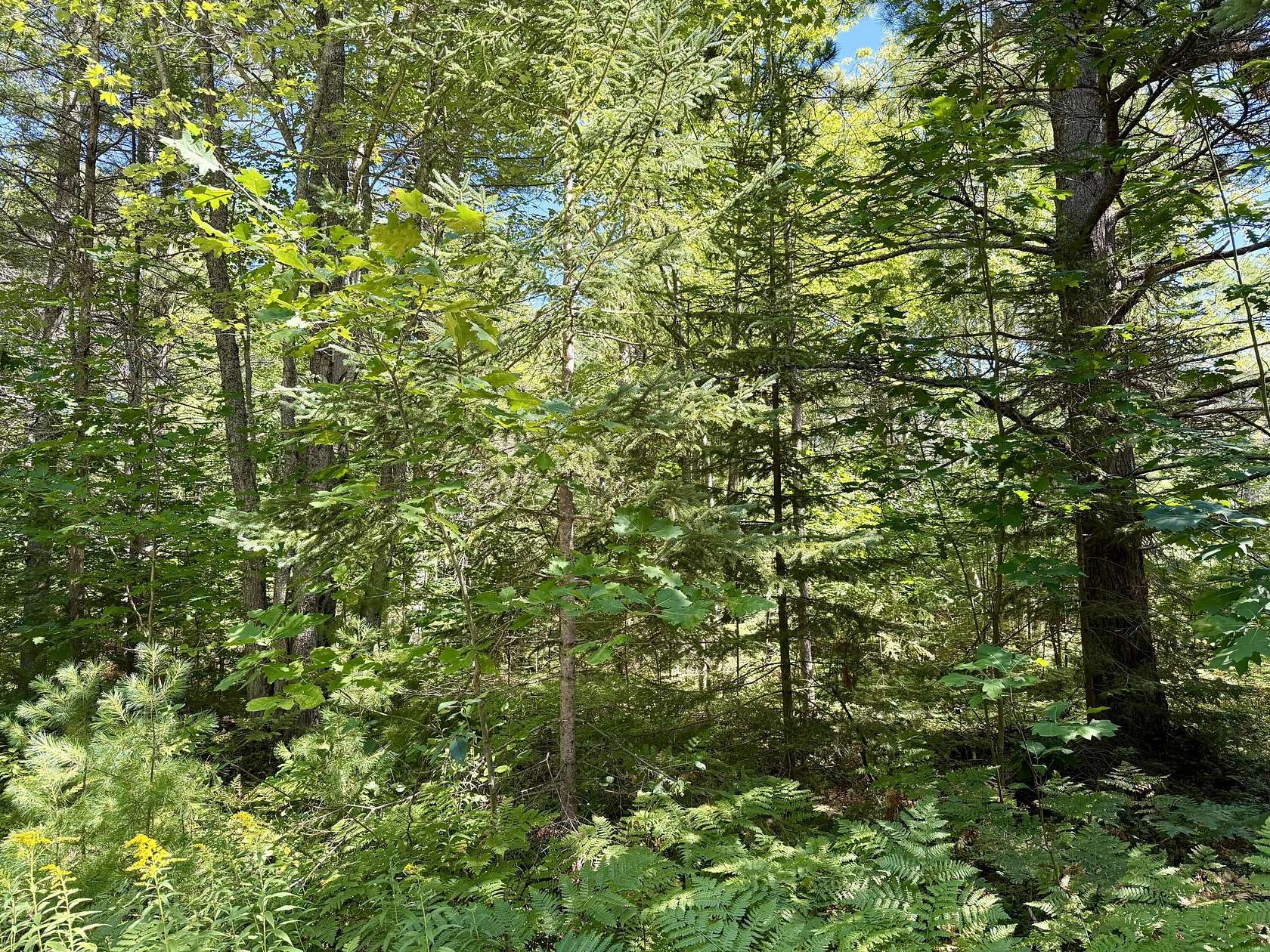 0.5 Acres of Residential Land for Sale in Cheboygan, Michigan