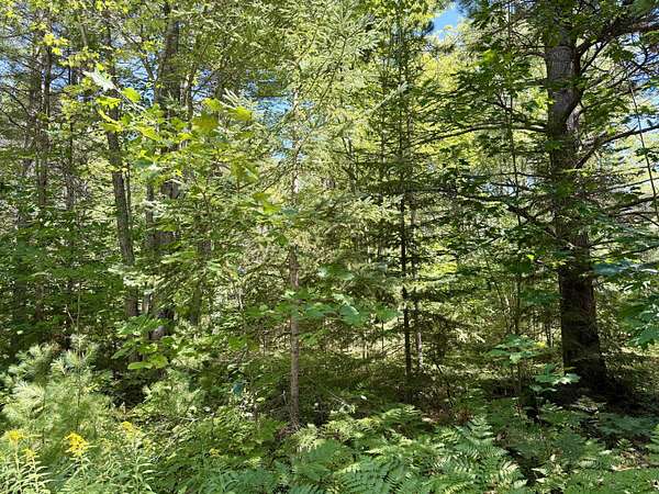 0.5 Acres of Residential Land for Sale in Cheboygan, Michigan