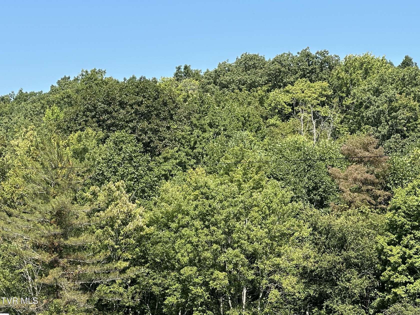 81 Acres of Land for Sale in Dungannon, Virginia