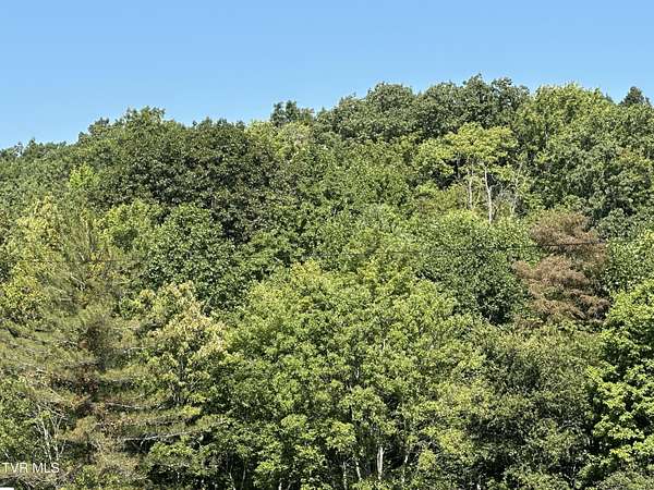 81 Acres of Land for Sale in Dungannon, Virginia