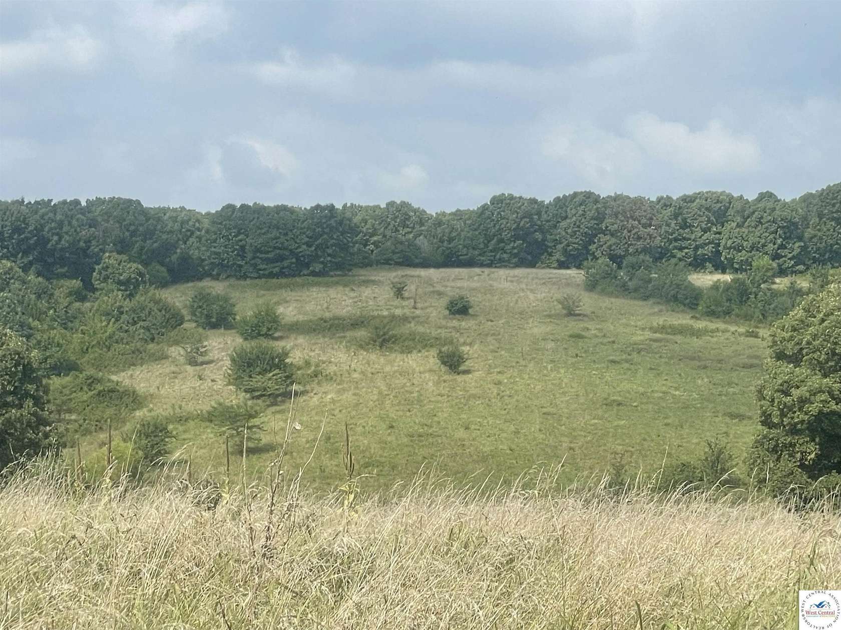 242 Acres of Recreational & Residential Land for Sale in Cole Camp, Missouri