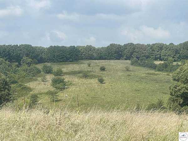 242 Acres of Recreational & Residential Land for Sale in Cole Camp, Missouri