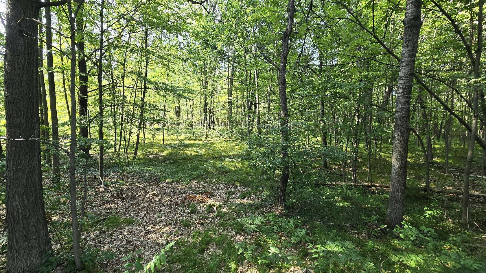 0.6 Acres of Land for Sale in Roscommon, Michigan