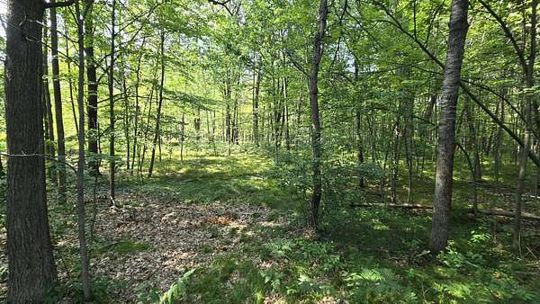 0.6 Acres of Land for Sale in Roscommon, Michigan