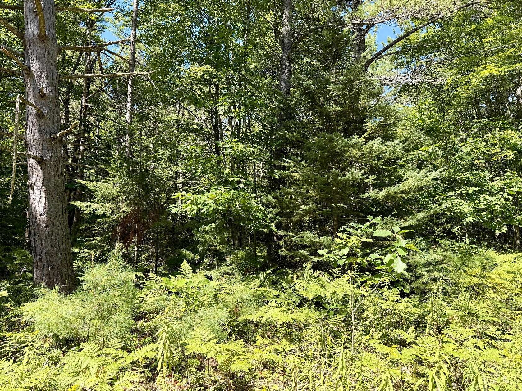 Residential Land for Sale in Cheboygan, Michigan