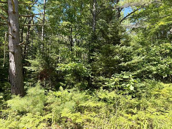Residential Land for Sale in Cheboygan, Michigan