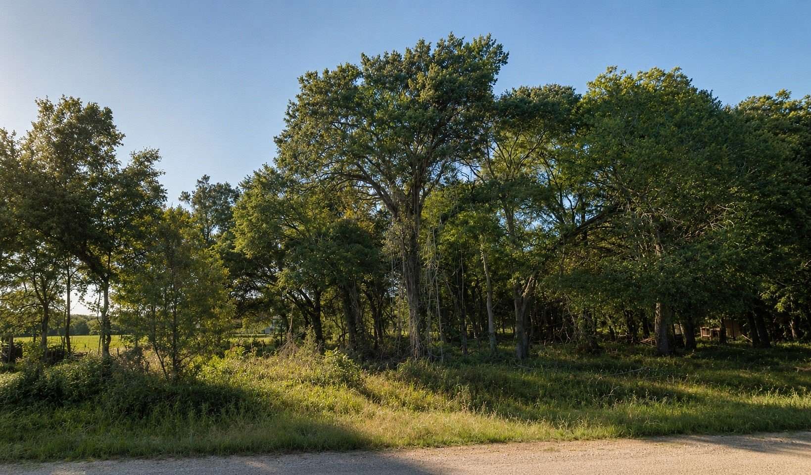 2.63 Acres of Mixed-Use Land for Sale in Kemp, Texas