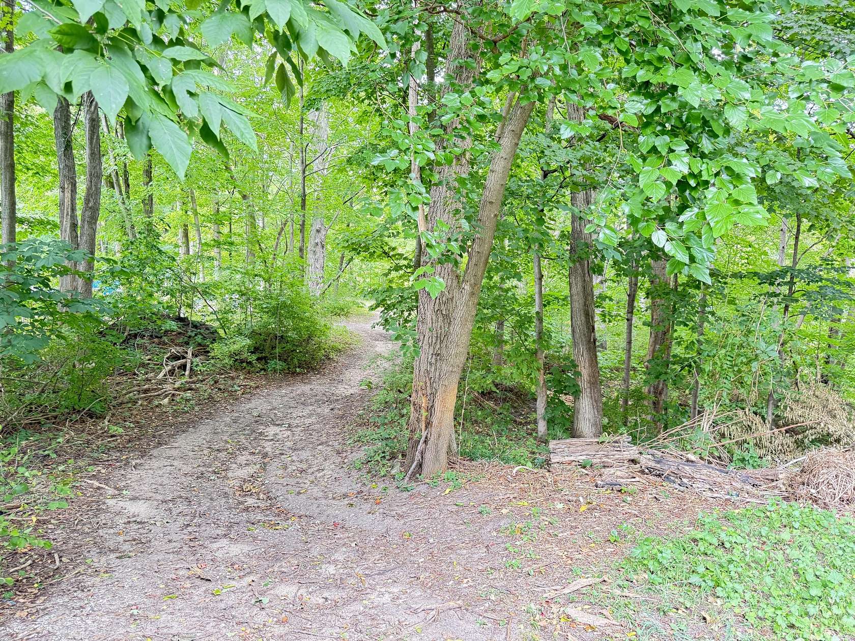 0.98 Acres of Residential Land for Sale in Hart, Michigan