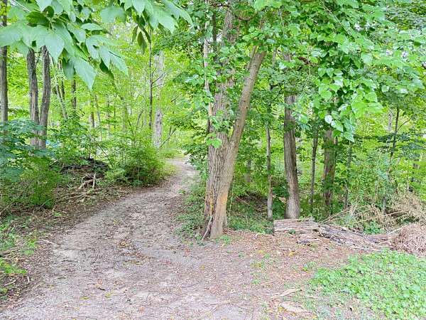 0.98 Acres of Residential Land for Sale in Hart, Michigan