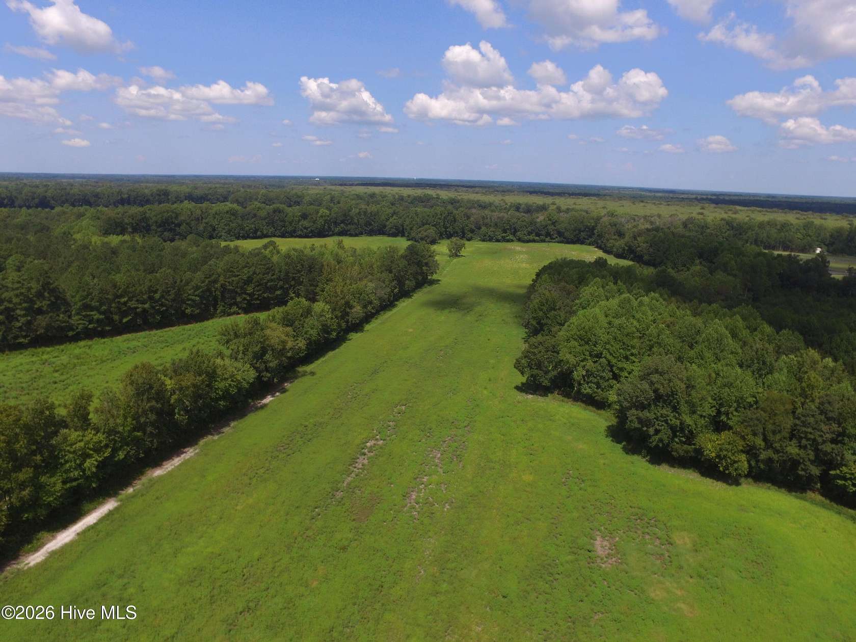 56.5 Acres of Recreational Land for Sale in Grimesland, North Carolina