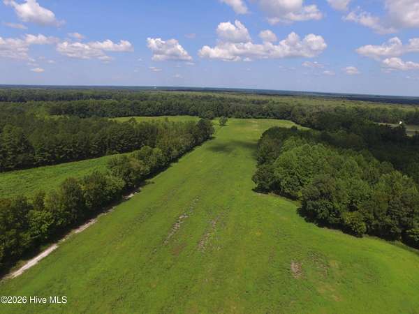 56.5 Acres of Recreational Land for Sale in Grimesland, North Carolina